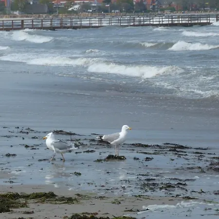 Apartamento Rieger Fw 1 Eckernförde