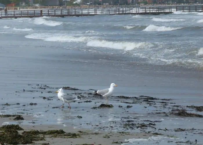 Lägenhet Rieger Fw 1 Eckernförde